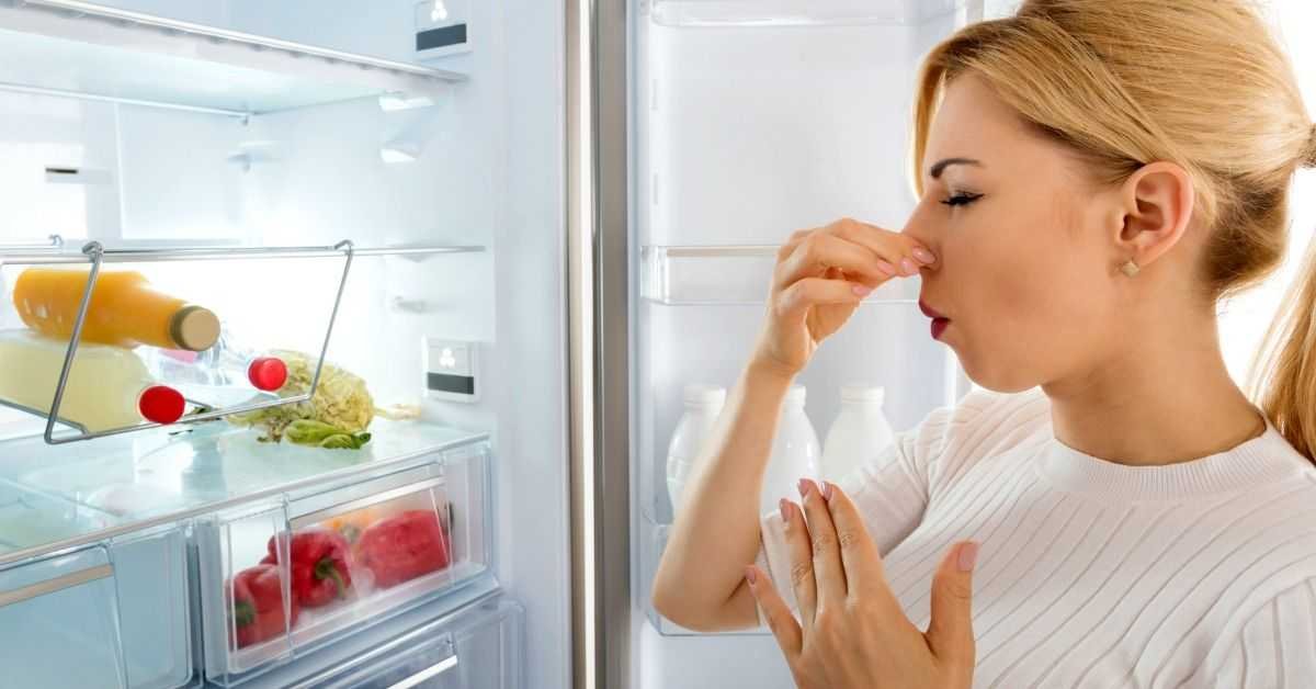 bad smell fridge