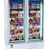 Display Freezer