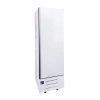 upright storage freezer