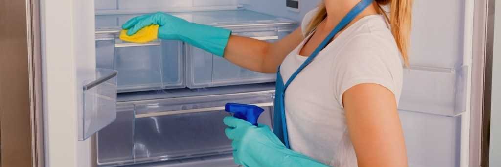 clean the fridge