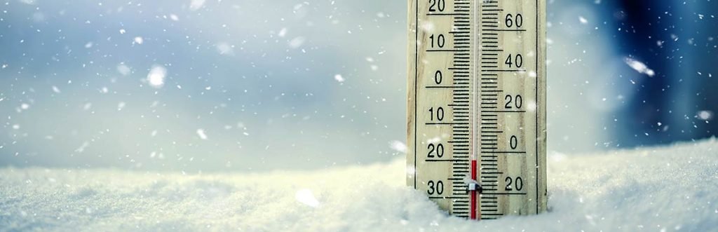 display freezer benefits